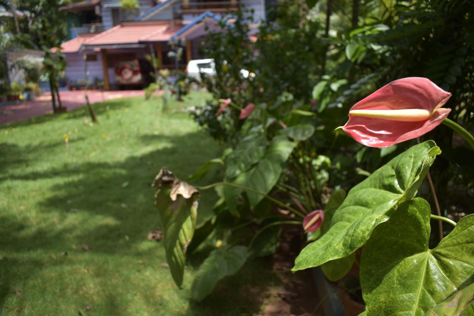 Ben's Villa Kannur ! Extérieur photo